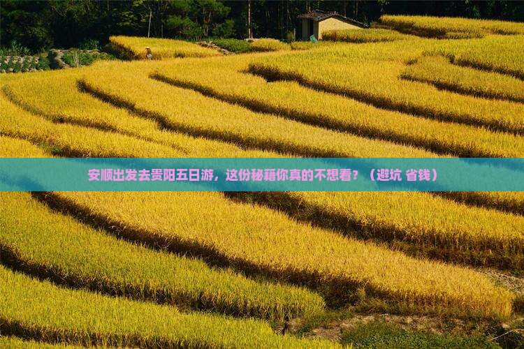 安顺去贵州贵阳五日游