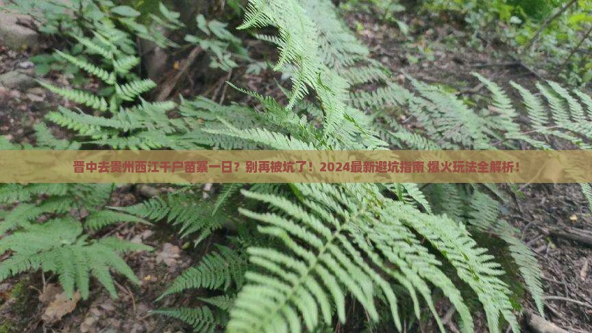 晋中去贵州西江千户苗寨一日