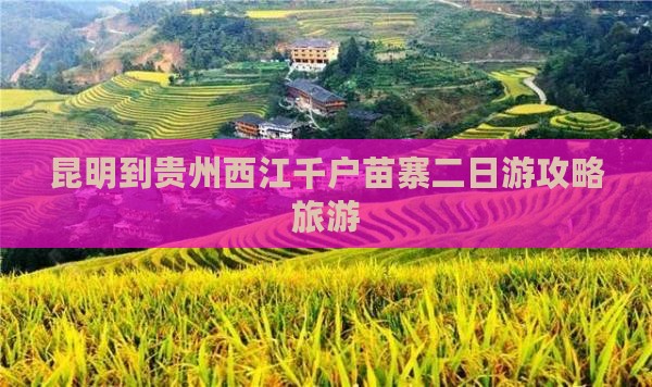 昆明到贵州西江千户苗寨二日游