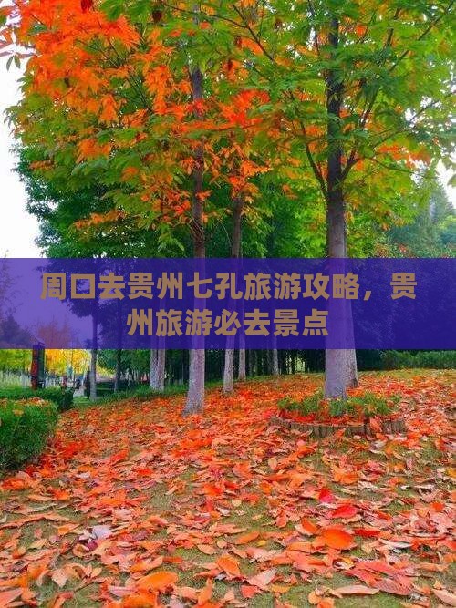 周口去贵州小七孔景点