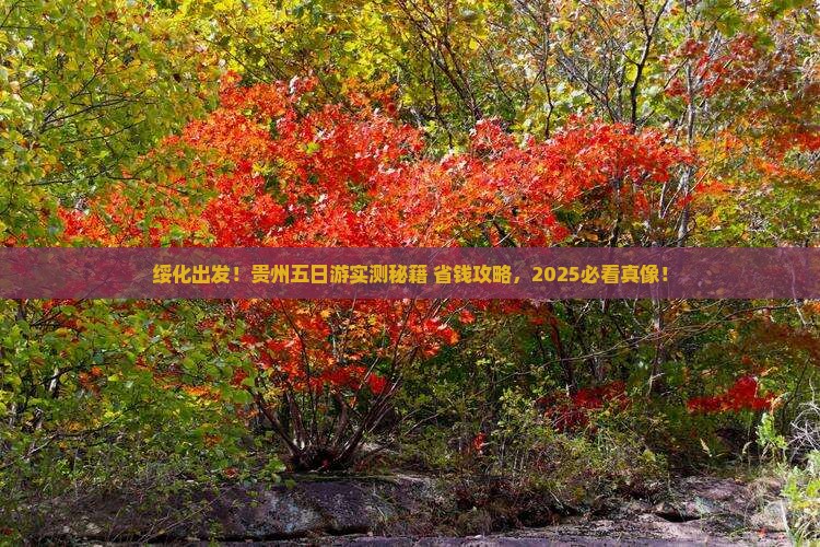 绥化去贵州五日游