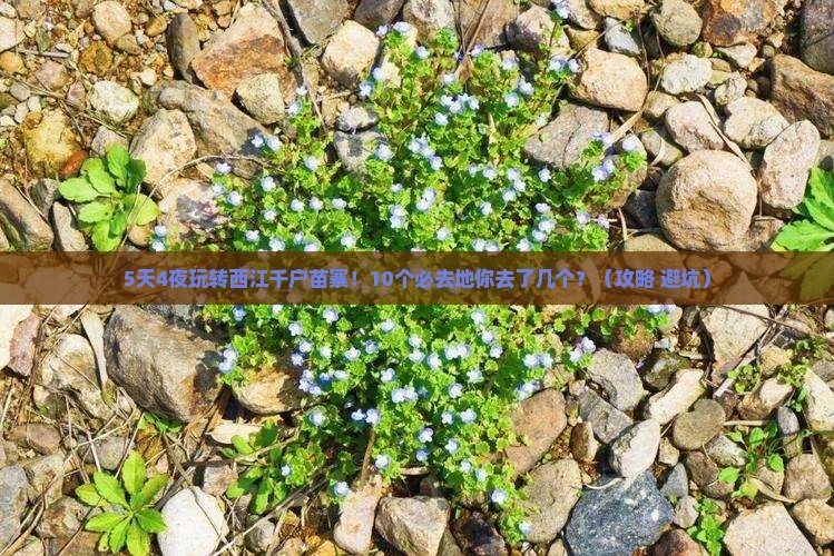 劳动节去贵州西江千户苗寨必去地