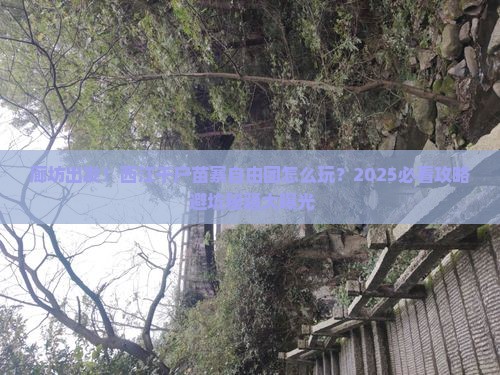廊坊到贵州西江千户苗寨自由团
