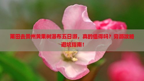 莆田去贵州黄果树瀑布五日游