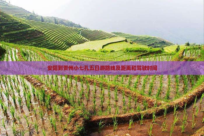 安阳到贵州小七孔五日游