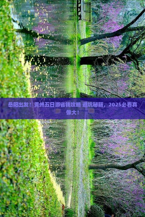 岳阳到贵州五日游