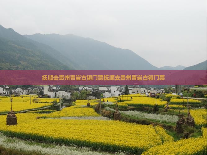 抚顺去贵州青岩古镇门票