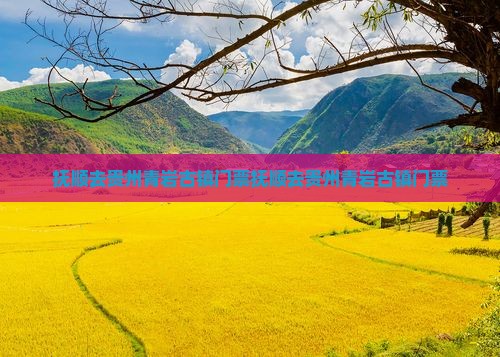 抚顺去贵州青岩古镇门票