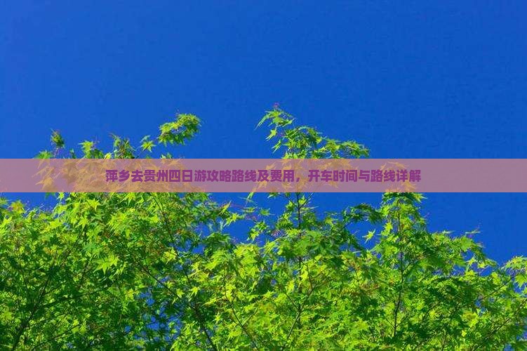 萍乡去贵州四日游