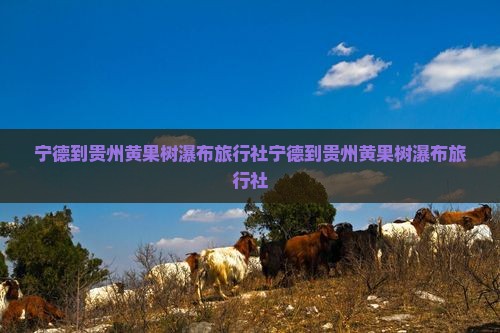 宁德到贵州黄果树瀑布旅行社
