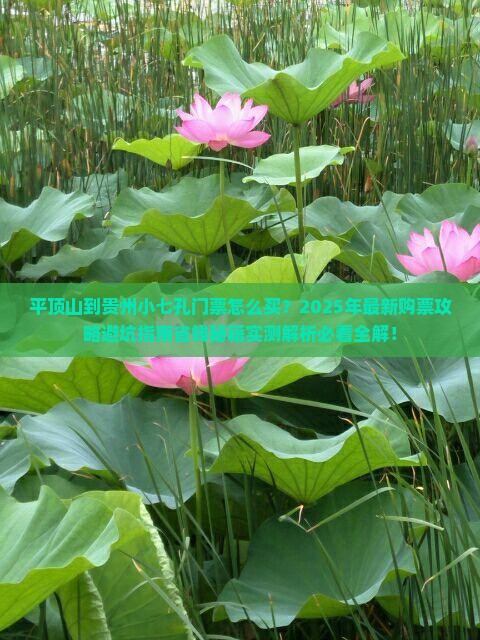平顶山到贵州小七孔门票