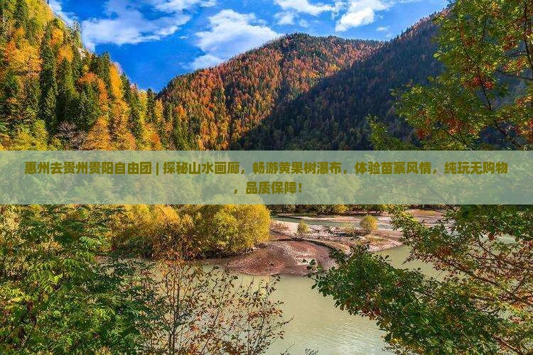 惠州去贵州贵阳自由团
