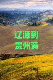 辽源到贵州黄果树瀑布门票