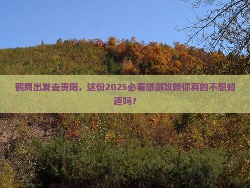 鹤岗去贵州贵阳大型旅游团