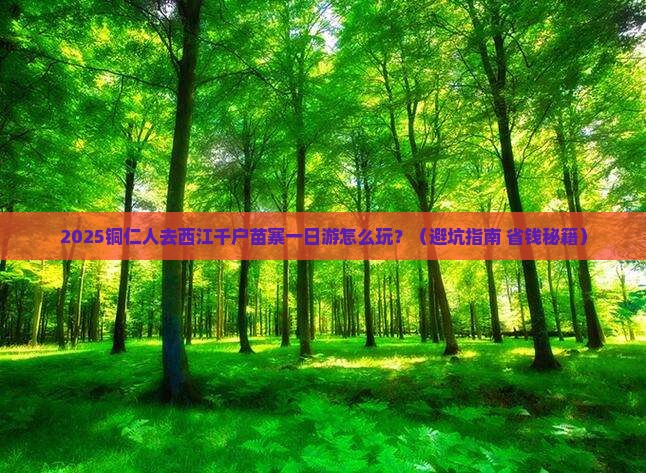 铜仁去贵州西江千户苗寨一日 铜仁去贵州西江千户苗寨一日