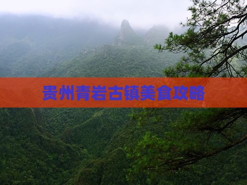平顶山去贵州青岩古镇旅游小吃