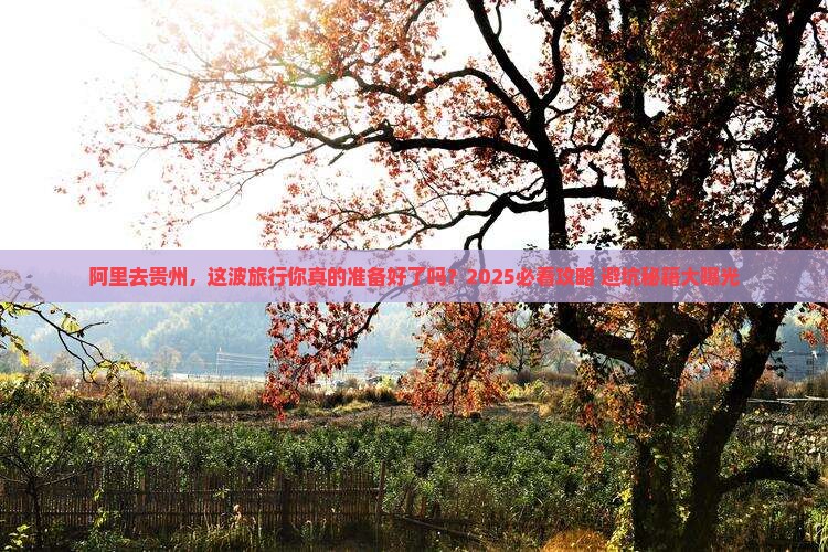 阿里去贵州攻略