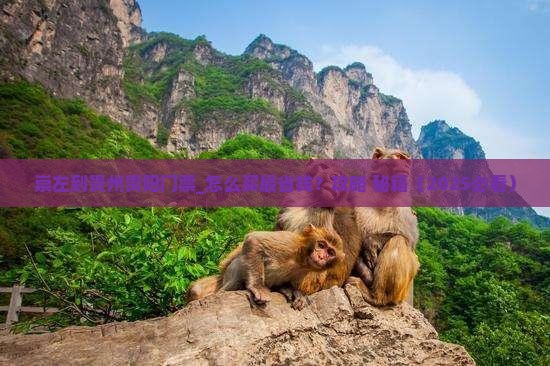 崇左到贵州贵阳门票
