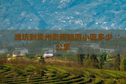 潍坊到贵州贵阳旅游小吃