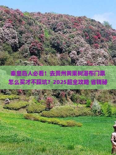 秦皇岛去贵州黄果树瀑布门票