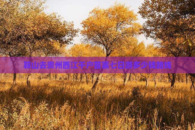 鞍山去贵州西江千户苗寨七日游