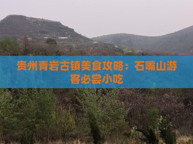 石嘴山去贵州青岩古镇旅游小吃