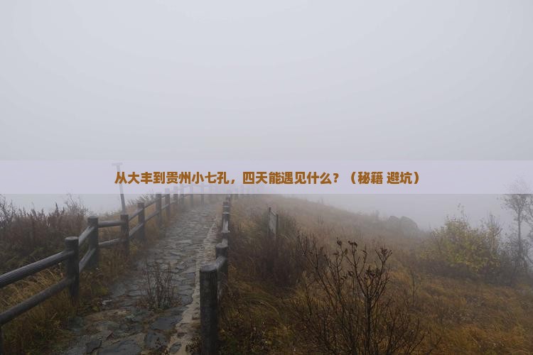 大丰到贵州小七孔四日游