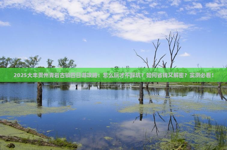 大丰去贵州青岩古镇四日游