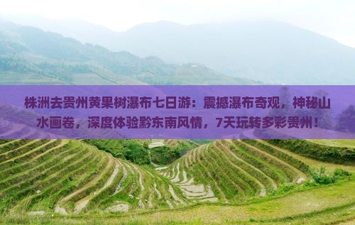 株洲去贵州黄果树瀑布七日游