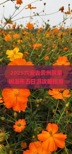 六安去贵州黄果树瀑布五日游