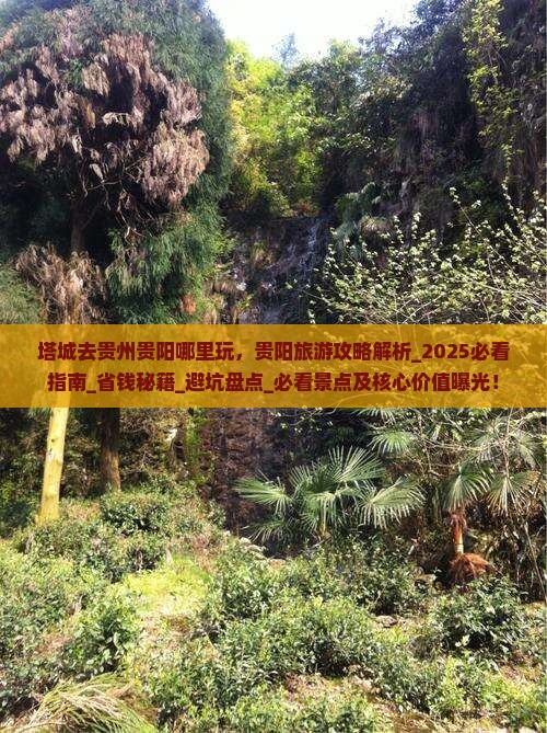 塔城去贵州贵阳哪里玩