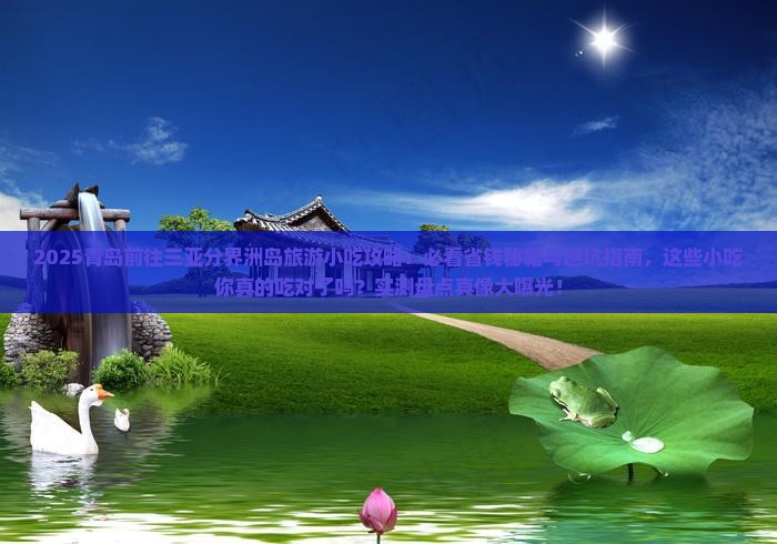 青岛前往三亚分界洲岛旅游小吃
