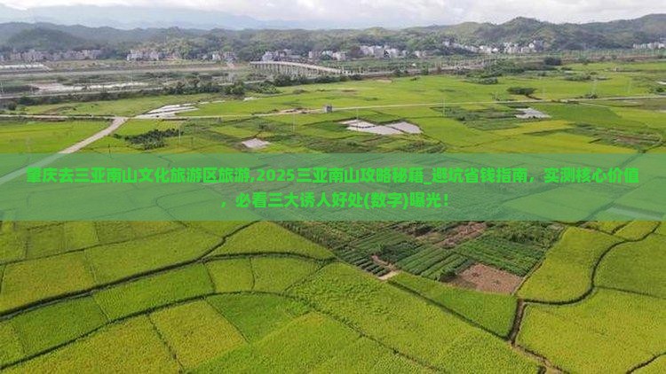 肇庆去三亚南山文化旅游区旅游 肇庆去三亚南山文化旅游区旅游