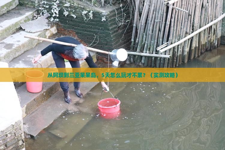 阿坝去三亚呆呆岛哪里玩