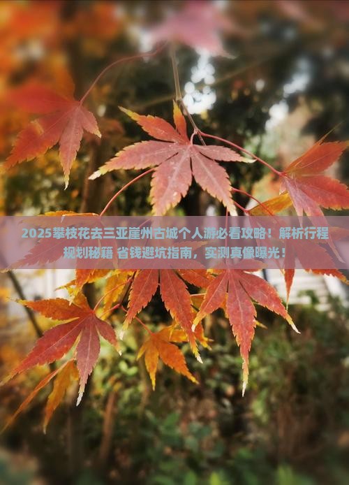 攀枝花去三亚崖洲古城个人游