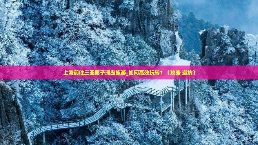 上海前往三亚椰子洲岛旅游
