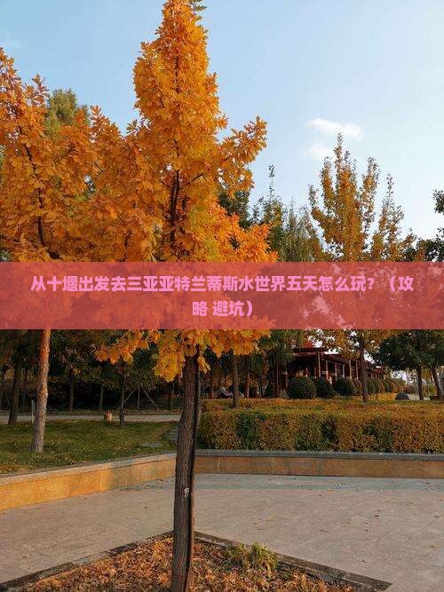 十堰前往三亚亚特兰蒂斯水世界五日游