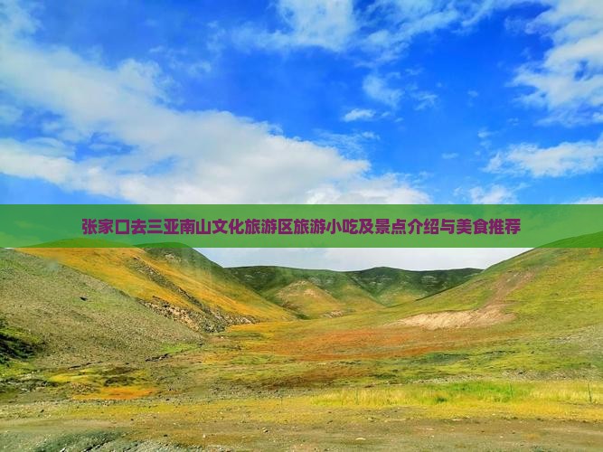 张家口去三亚南山文化旅游区旅游小吃