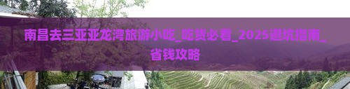 南昌去三亚亚龙湾旅游小吃
