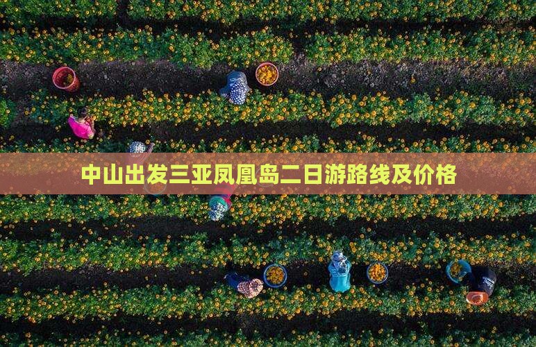 中山出发三亚凤凰岛二日游