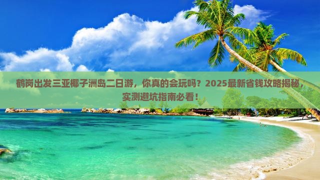 鹤岗出发三亚椰子洲岛二日游