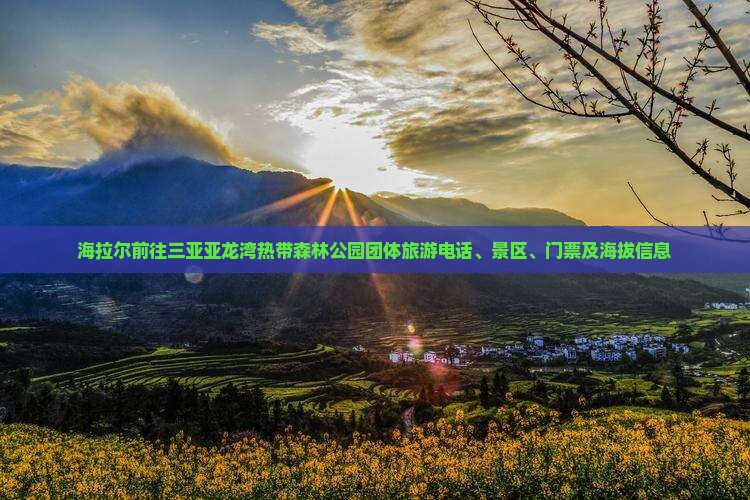 海拉尔前往三亚亚龙湾热带森林公园团体旅游