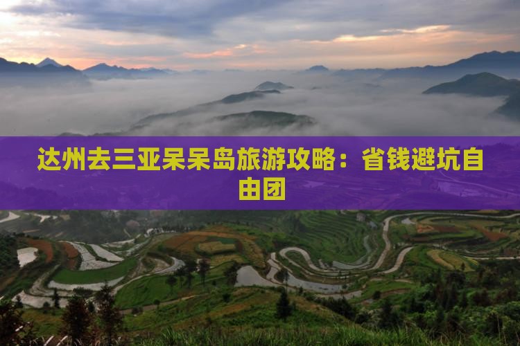 达州去三亚呆呆岛自由团