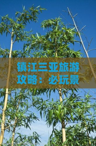 镇江前往三亚三亚湾必玩地
