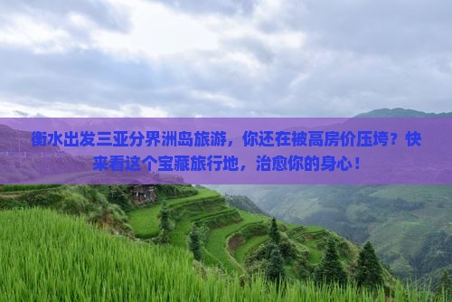 衡水出发三亚分界洲岛旅游