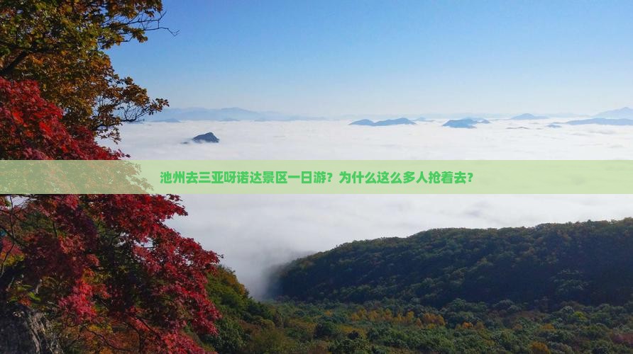 池州去三亚呀诺达景区一日游