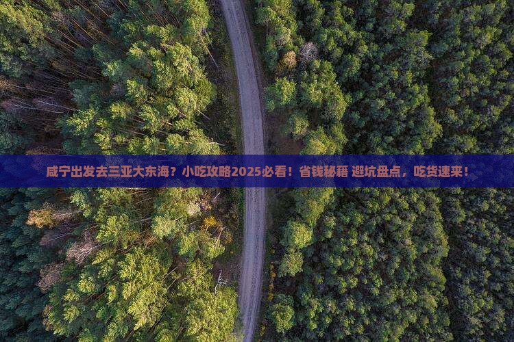 咸宁前往三亚大东海旅游小吃