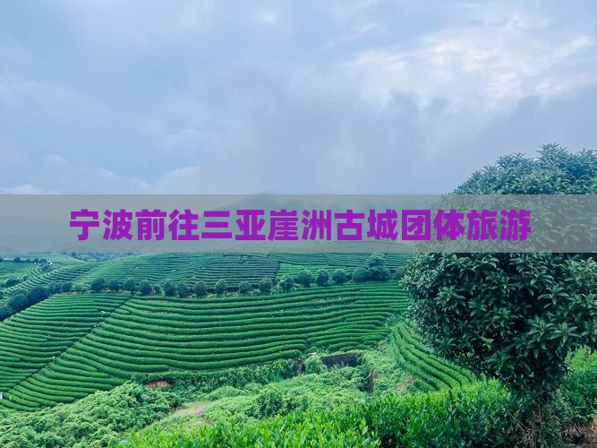 宁波前往三亚崖洲古城团体旅游