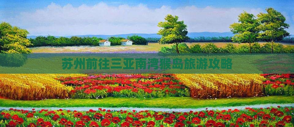 苏州前往三亚南湾猴岛旅行社