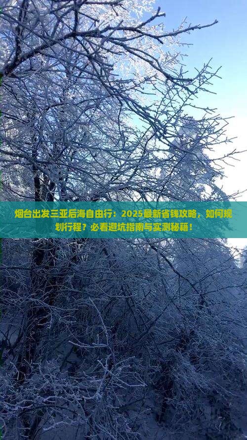 烟台出发三亚后海自由行